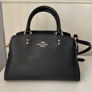 Coach Mini Lily Carryall